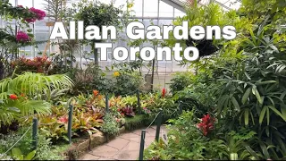 Tuesday morning Adventures in Allan Gardens Park, Toronto, June 4th 2024! #garden