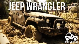Jeep Wrangler Poradnik Terenwizji