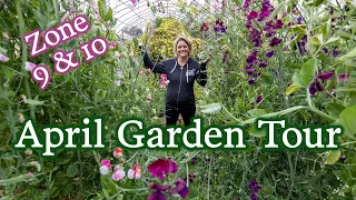 April Garden Tour | What's Thriving & What's Dying in Zone 10