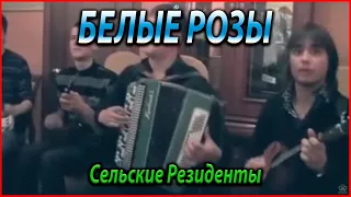 БЕЛЫЕ РОЗЫ КАВЕР - Сельские Резиденты