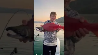 Huge Red Kokanee Salmon #shorts