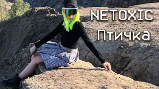 NETOXIC - Птичка (mood video)