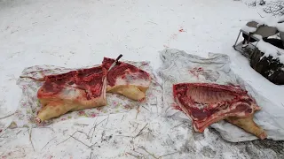 Сколько весит кабан мясом