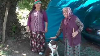 ''Beni Köpeğimin Yanına Gömün''