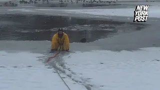 Watch Utah firefighter rescue ungrateful pup Bob from doomed polar plunge: ‘Be nice!’