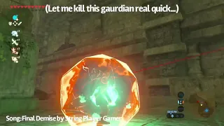 Obscure Skyward Sword Reference in Breath of the Wild
