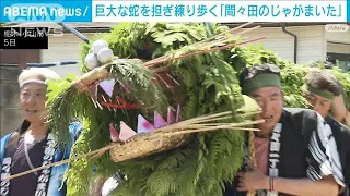 巨大な蛇を担ぎ五穀豊穣願う祭り「間々田のじゃがまいた」 栃木・小山市(2024年5月6日)