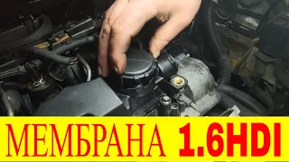 Одна из причин масложора 1.6hdi Замена Мембрана клапанной крышки PEUGEOT 1.6 HDI /1.6D 0248L1