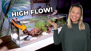 River Style Aquascape Tutorial with High Flow