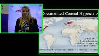 Ocean Deoxygenation UNFCCC COP19
