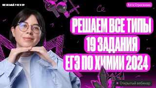 Решаем все типы 19 задания ЕГЭ по химии 2024 | Екатерина Строганова