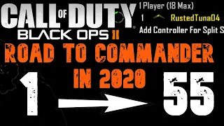 An Entire Black Ops 2 Road to Commander in ONE Video..