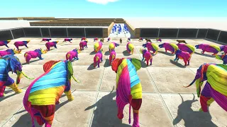 All Colors Race to Eat Terror Tiger - Animal Revolt Battle Simulator