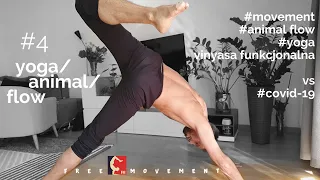 fM#4::odrobina FLOW // YOGA vinyasa funkcjonalna/ MOVEMENT/ ANIMAL FLOW