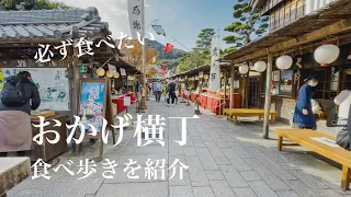 【vlog】おかげ横丁食べ歩き/伊勢観光/三重観光/おすすめスポット