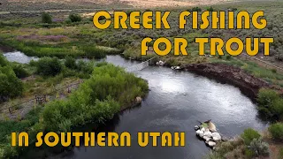 Creek Fishing for Trout in Southern Utah