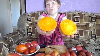 сорта томатов в разрезе 1 часть (стартуем )2018 год