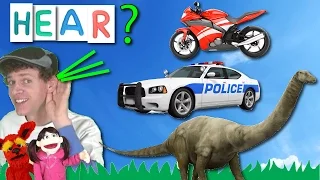 What Do You Hear? Song #5 | Motorcycle, Dinosaur, Police Car | Learn With Matt