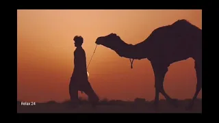 Camel Drivers at Sunset with Arabian Music for  Sleep, Relaxation & Study