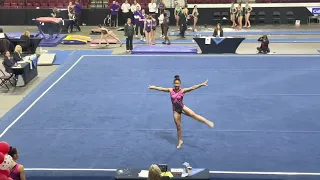 Floor Routine - Level 9 Westerns 9.575