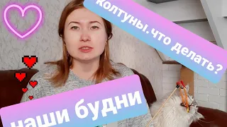 ЖИЗНЬ С МЕЙН КУНАМИ/ КОЛТУНЫ / НАШИ БУДНИ