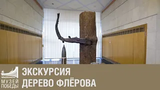 Экскурсия "Дерево Флёрова"