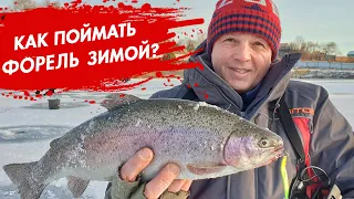 Как поймать МНОГО ФОРЕЛИ зимой? Самая уловистая приманка!