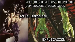 Wolf DESCUBRE a los Depredadores Desollados por el Predalien EXPLICACIÓN