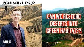 Can we turn deserts into green habitats? - Pascal's China Lens week 37