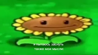 подсолнух флексит