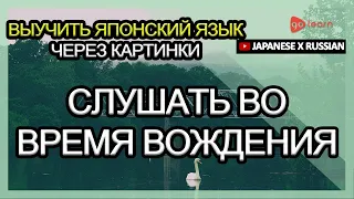 Выучить японский язык через картинки |японский язык словарь слушать во время вождения | Golearn