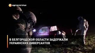 В Белгородской области задержали украинских диверсантов
