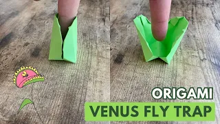 ORIGAMI VENUS FLY TRAP PLANT PAPER TOY TUTORIAL | FUN DIY CRAFT TUTORIAL STEP BY STEP FINGER TRAP