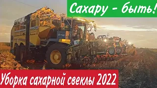 Уборка сахарной свеклы 2022!!! Комбайн ROPA и HOLMER. Настоящая мощь сельского хозяйства!