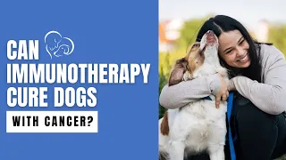 Can Immunotherapy Cure Dogs with Cancer?