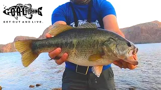 BANK FISHING at Canyon Lake AZ