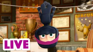 🔴 LIVE STREAM 🎬 Masha and the Bear 🏃‍♀️ Catch me If you can! 🌪