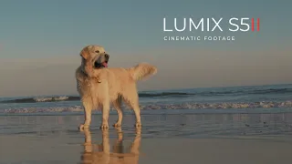 Panasonic Lumix S5ii || Cinematic footage with kit lense 20-60mm