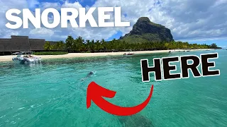 SNORKELING in LE MORNE Mauritius - TOP TIPS!