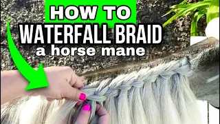 Horse Braiding Tutorial - Waterfall Braid a Mane