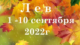 ЛЕВ 🦁.1- 10 сентября 2022г. Таро прогноз, гороскоп на неделю.