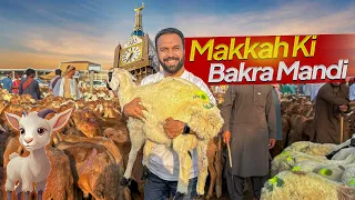 Bakra Mandi in MAKKAH 🐪 🐏 HAJJ 2024, Eid al Adha in Makkah Saudi Arabia