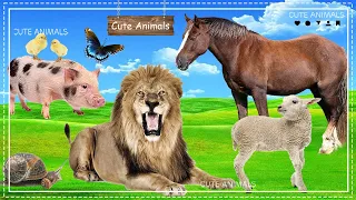Lovely Animal Sounds: Chicken, Pig, Butterfly, Lion, Snail, Sheep, Horse | Animal Moments