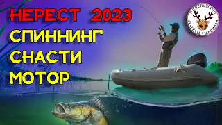 Нерестовый запрет 2023 ⛔ Можно ли ходить под мотором, ловить на спиннинг, перевозить снасти