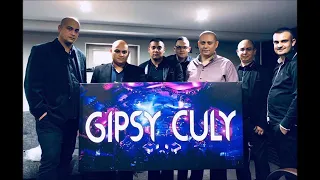 Gipsy culy