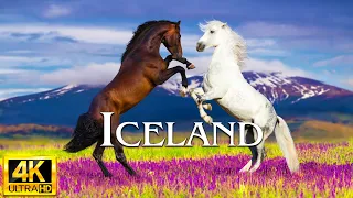 Iceland 4K | The Land of Fire and Ice 🔥❄️ | 4K Serene Safaris.