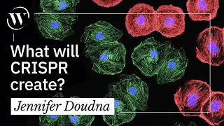 CRISPR: What will humanity create? | Jennifer Doudna