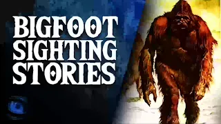 22 BIGFOOT STORIES OF BIGFOOT SIGHTINGS - What Lurks Above