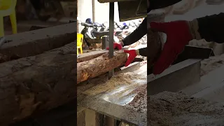 99 Fastest Big Chainsaw Cutting Tree Machines At Another Level