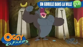 Un gorille en ville - Oggy et les Cafards Saison 5 c'est sur Gulli ! #16